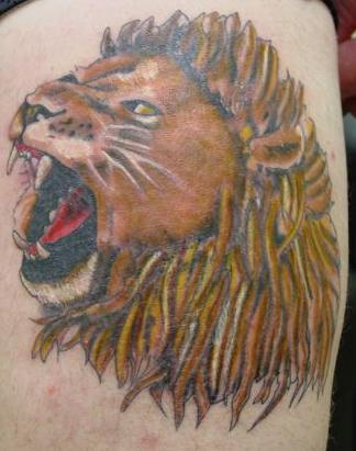 Lion Head colored - almost done.